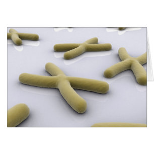 Conceptual Image of Chromosom 1