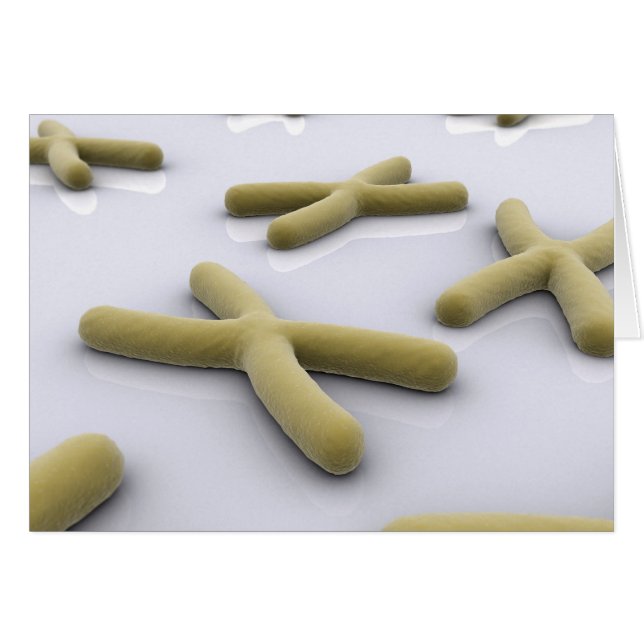 Conceptual Image of Chromosom 1 (Vorderseite (Horizontal))