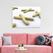 Conceptual Image of Chromosom 1 Leinwanddruck (Insitu (Wohnzimmer))