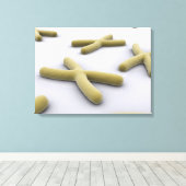 Conceptual Image of Chromosom 1 Leinwanddruck (Insitu (Holzboden))