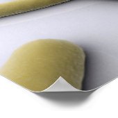 Conceptual Image of Chromosom 1 Poster (Ecke)