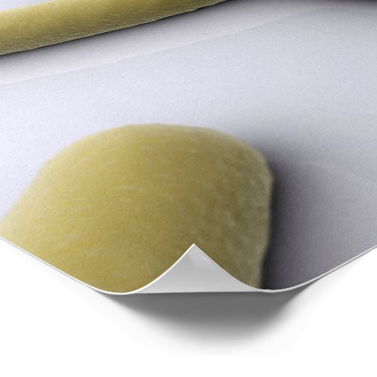 Conceptual Image of Chromosom 1 Poster (Ecke)