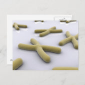 Conceptual Image of Chromosom 1 Postkarte (Vorne/Hinten)