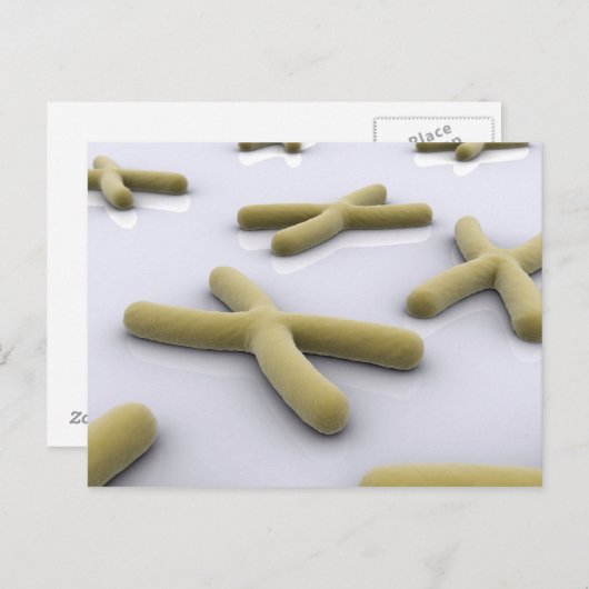 Conceptual Image of Chromosom 1 Postkarte (Vorne/Hinten)