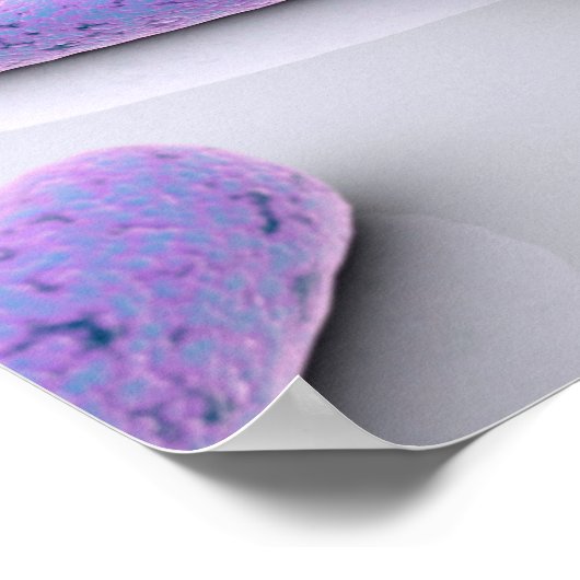 Conceptual Image of Chromosom 4 Poster (Ecke)