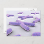 Conceptual Image of Chromosom 4 Postkarte (Vorne/Hinten)