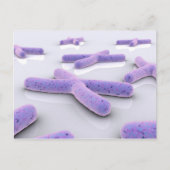 Conceptual Image of Chromosom 4 Postkarte (Vorderseite)