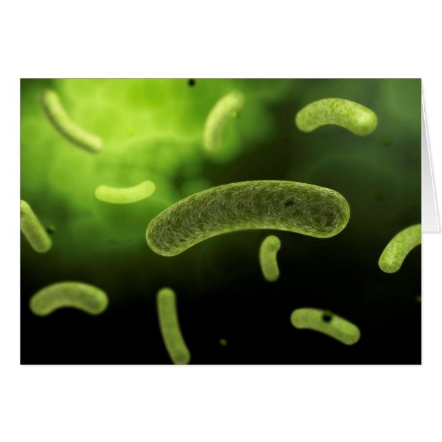 Conceptual Image of Common Bacteria (Vorderseite (Horizontal))