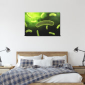 Conceptual Image of Common Bacteria Leinwanddruck (Insitu (Schlafzimmer))