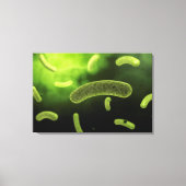 Conceptual Image of Common Bacteria Leinwanddruck (Vorderseite)