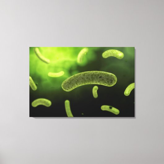 Conceptual Image of Common Bacteria Leinwanddruck (Vorderseite)