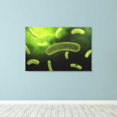 Conceptual Image of Common Bacteria Leinwanddruck (Insitu (Holzboden))