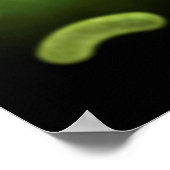 Conceptual Image of Common Bacteria Poster (Ecke)