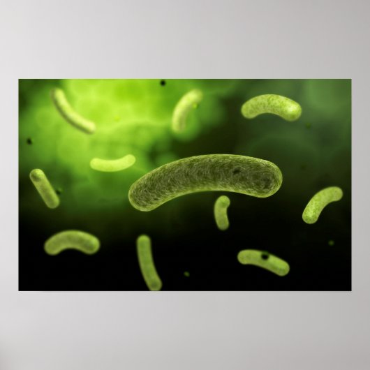 Conceptual Image of Common Bacteria Poster (Vorne)
