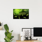 Conceptual Image of Common Bacteria Poster (Heimbüro)