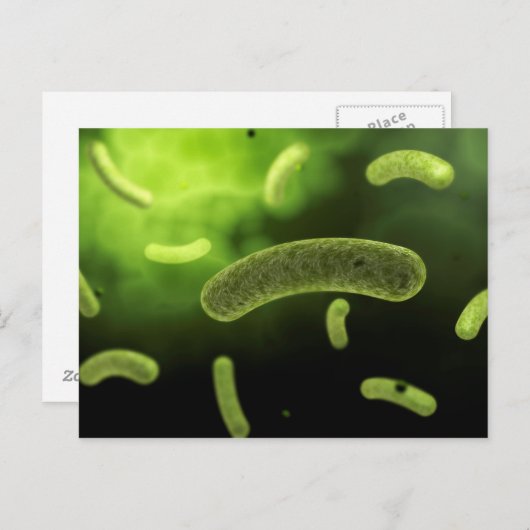 Conceptual Image of Common Bacteria Postkarte (Vorne/Hinten)