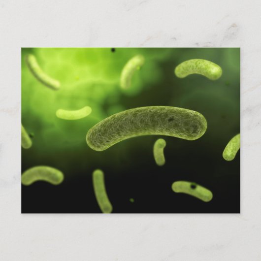 Conceptual Image of Common Bacteria Postkarte (Vorderseite)