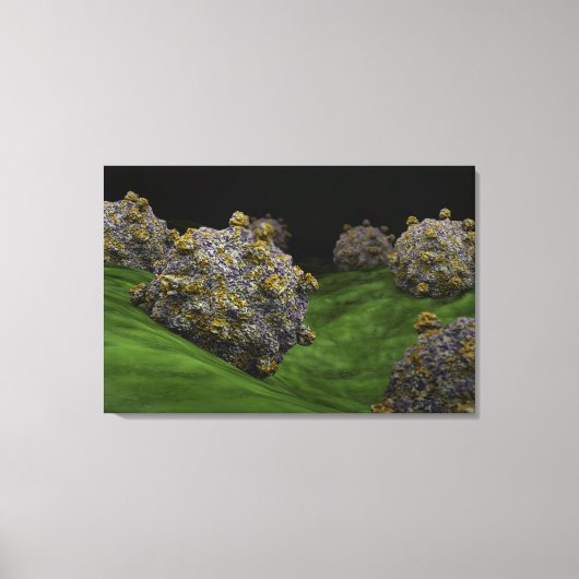 Conceptual Image of Coxsackievirus 1 Leinwanddruck (Vorderseite)