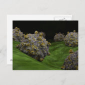 Conceptual Image of Coxsackievirus 1 Postkarte (Vorne/Hinten)