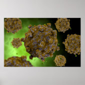 Conceptual Image of Coxsackievirus 2 Poster (Vorne)