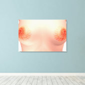 Conceptual Image of Female Breast Anatomie 7 Leinwanddruck (Insitu (Holzboden))