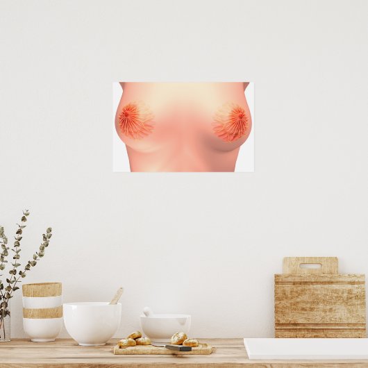 Conceptual Image of Female Breast Anatomie 7 Poster (Küche)