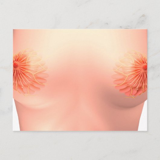 Conceptual Image of Female Breast Anatomie 7 Postkarte (Vorderseite)
