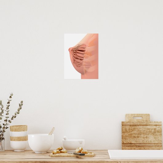 Conceptual Image of Female Breast Anatomy 2 Poster (Küche)