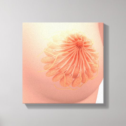 Conceptual Image of Female Breast Anatomy 3 Leinwanddruck (Vorderseite)