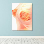 Conceptual Image of Female Brust Anatomy 1 Leinwanddruck (Insitu (Holzboden))