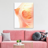 Conceptual Image of Female Brust Anatomy 1 Leinwanddruck (Insitu (Wohnzimmer))