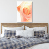 Conceptual Image of Female Brust Anatomy 1 Leinwanddruck (Insitu (Schlafzimmer))