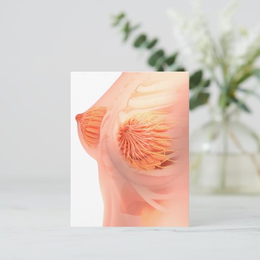 Conceptual Image of Female Brust Anatomy 1 Postkarte (Stehend Vorderseite)