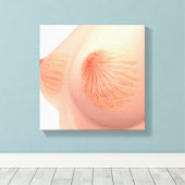 Conceptual Image of Female Brust Anatomy 4 Leinwanddruck (Insitu (Holzboden))