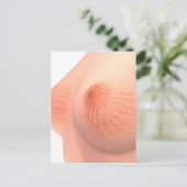 Conceptual Image of Female Brust Anatomy 4 Postkarte (Stehend Vorderseite)