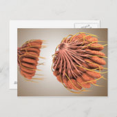 Conceptual Image of Female Brust Anatomy 8 Postkarte (Vorne/Hinten)