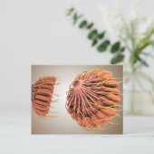 Conceptual Image of Female Brust Anatomy 8 Postkarte (Stehend Vorderseite)