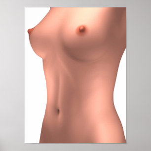 Conceptual Image Of Female Torso Poster