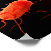 Conceptual Image of Flagellat Bacterium 1 Poster (Ecke)
