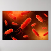 Conceptual Image of Flagellat Bacterium 1 Poster (Vorne)