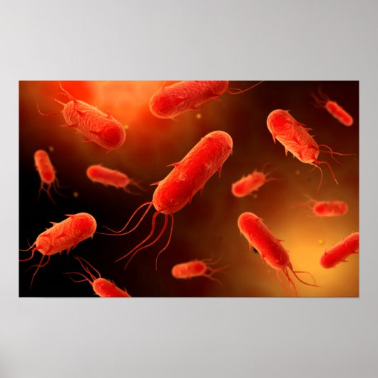 Conceptual Image of Flagellat Bacterium 1 Poster (Vorne)