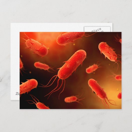 Conceptual Image of Flagellat Bacterium 1 Postkarte (Vorne/Hinten)