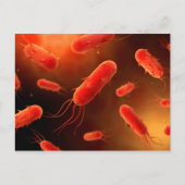 Conceptual Image of Flagellat Bacterium 1 Postkarte (Vorderseite)