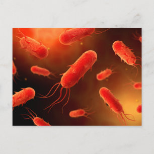 Conceptual Image of Flagellat Bacterium 1 Postkarte