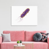Conceptual Image of Flagellate Bacterium 2 Leinwanddruck (Insitu (Wohnzimmer))