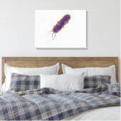 Conceptual Image of Flagellate Bacterium 2 Leinwanddruck (Insitu (Schlafzimmer))