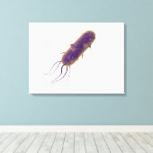 Conceptual Image of Flagellate Bacterium 2 Leinwanddruck (Insitu (Holzboden))