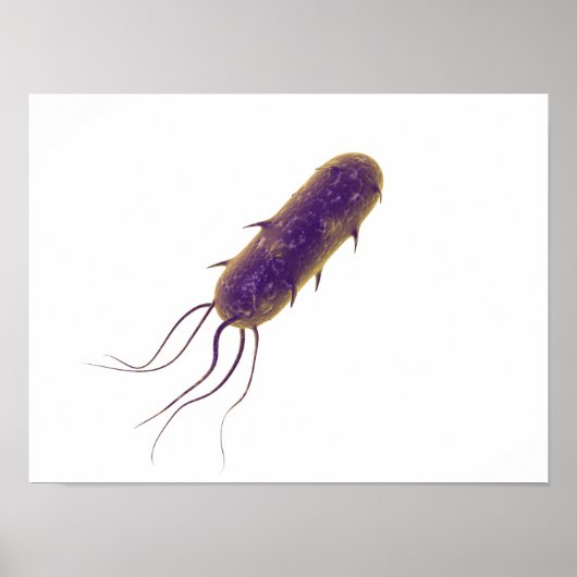 Conceptual Image of Flagellate Bacterium 2 Poster (Vorne)