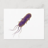 Conceptual Image of Flagellate Bacterium 2 Postkarte (Vorderseite)