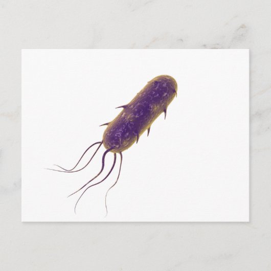Conceptual Image of Flagellate Bacterium 2 Postkarte (Vorderseite)